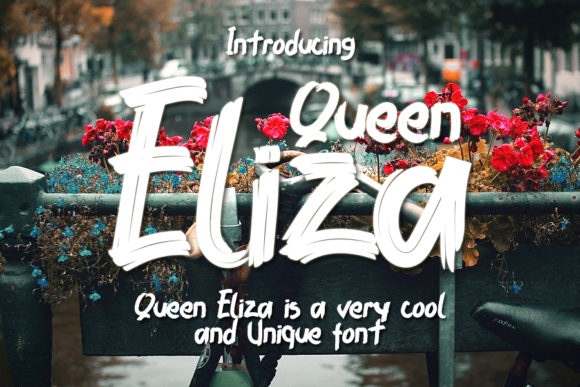 Evaluating Qeen Eliza: A Practical Guide to Choosing the Right Brushed Display Font